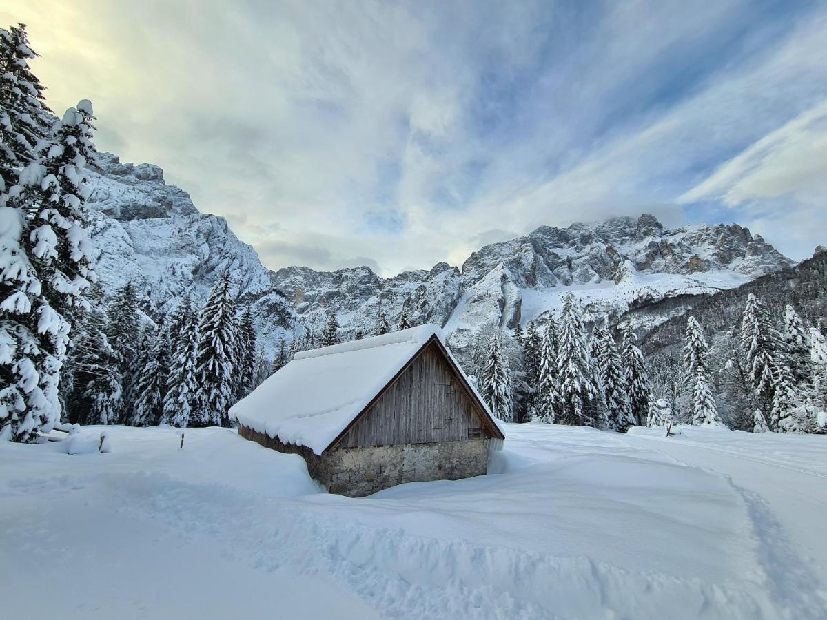 Chalet Camporosso Camporosso  Zewnętrze zdjęcie