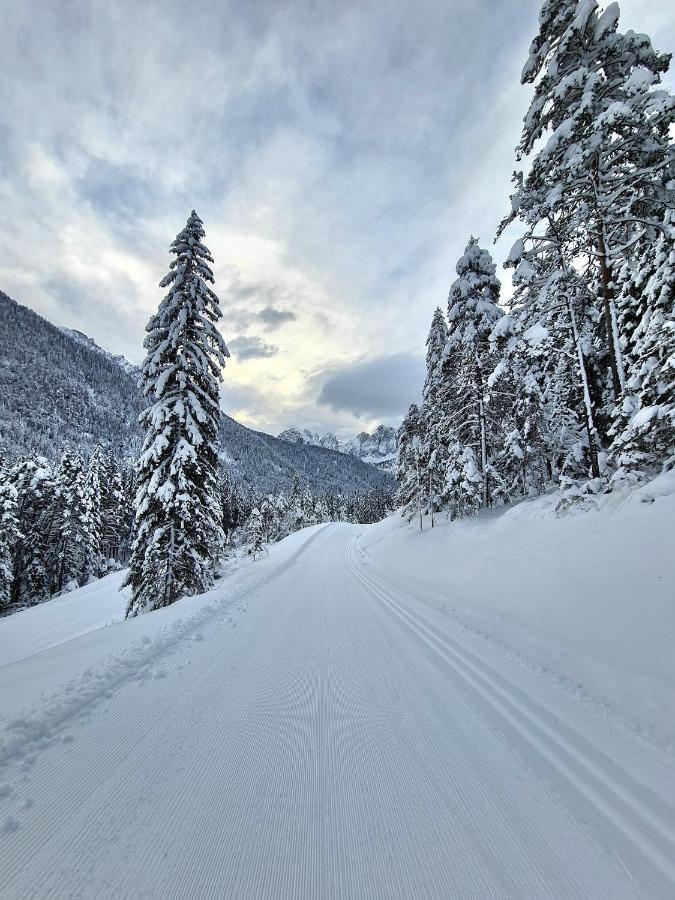 Chalet Camporosso Camporosso  Zewnętrze zdjęcie